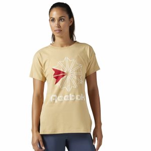 Koszulki Damskie Reebok Classic Graphic Beżowe PL 61URQNE